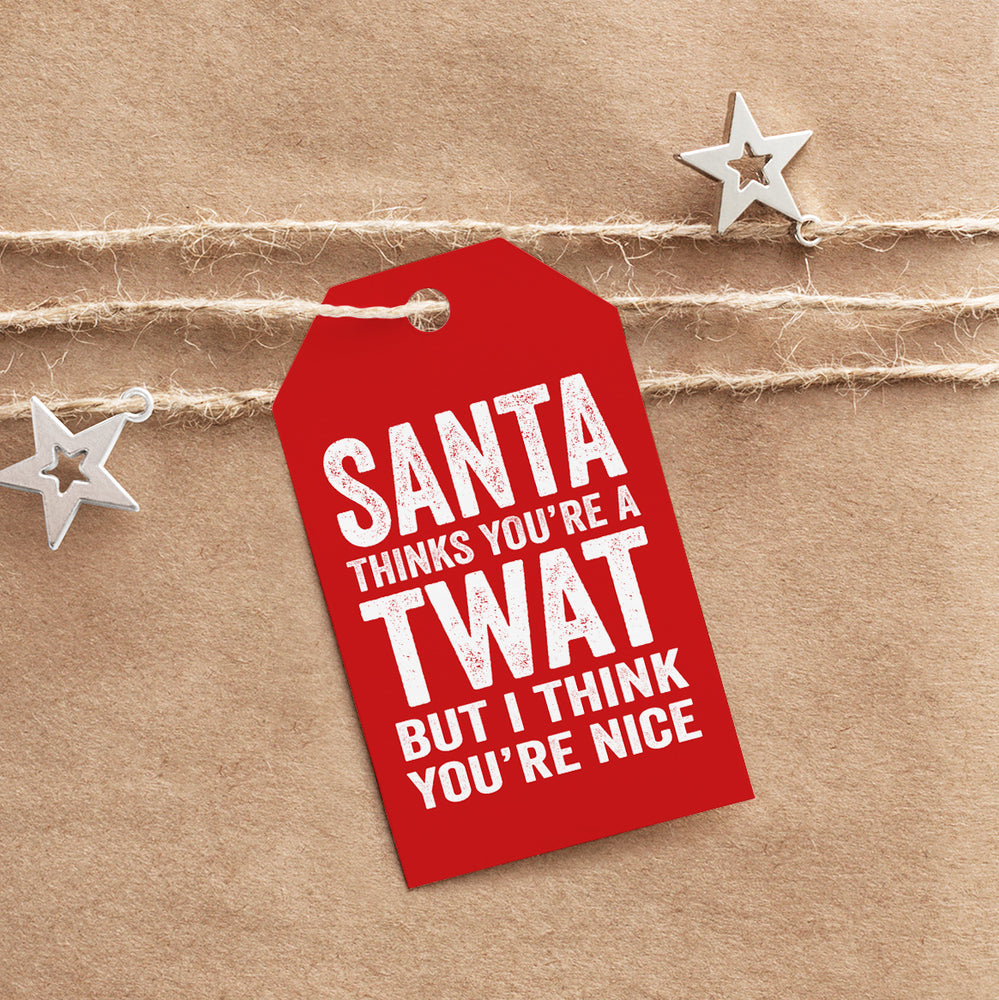 Xmas I Think You're Nice Twat Tag #1 image